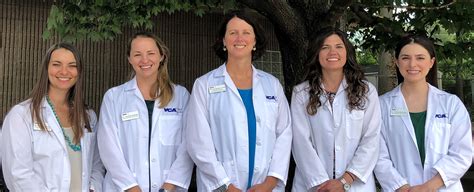 vca buckhead animal hospital|Contact VCA Buckhead Animal Hospital .